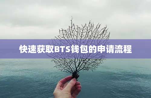 快速获取BTS钱包的申请流程
