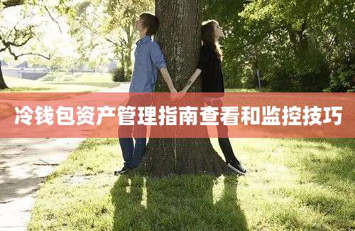 冷钱包资产管理指南查看和监控技巧
