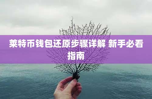 莱特币钱包还原步骤详解 新手必看指南