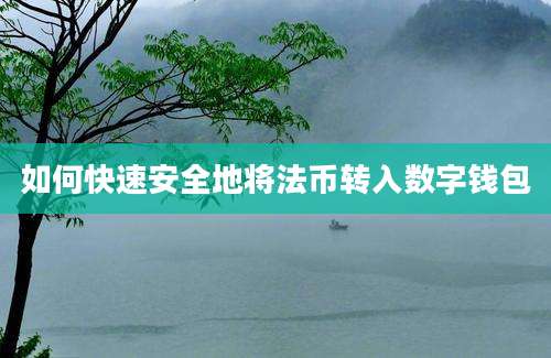 如何快速安全地将法币转入数字钱包