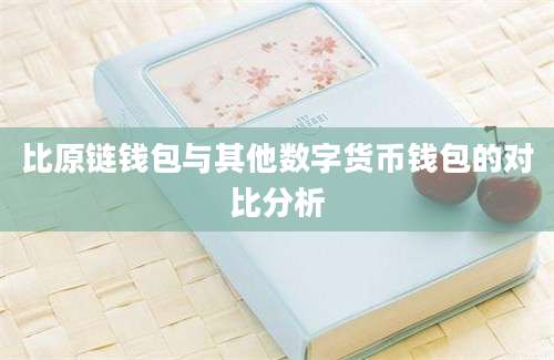 比原链钱包与其他数字货币钱包的对比分析