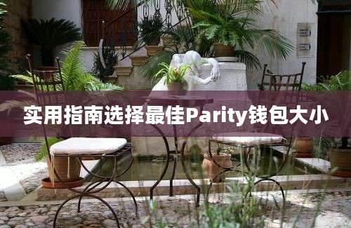 实用指南选择最佳Parity钱包大小