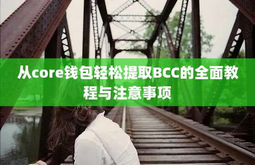 从core钱包轻松提取BCC的全面教程与注意事项