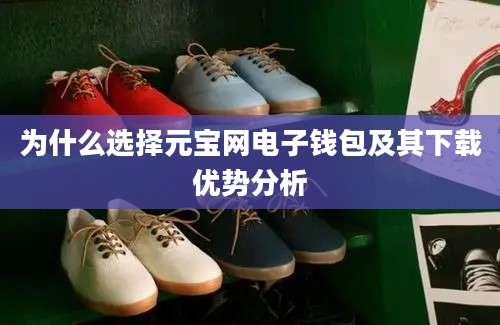 为什么选择元宝网电子钱包及其下载优势分析