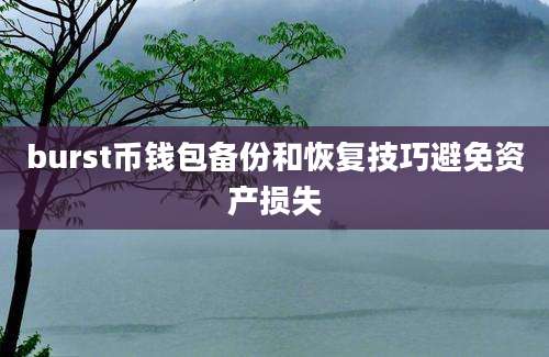burst币钱包备份和恢复技巧避免资产损失