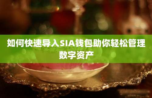 如何快速导入SIA钱包助你轻松管理数字资产