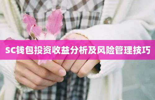 SC钱包投资收益分析及风险管理技巧