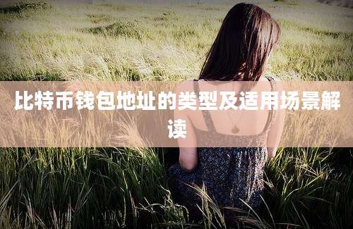 比特币钱包地址的类型及适用场景解读