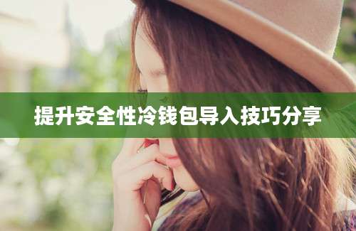 提升安全性冷钱包导入技巧分享