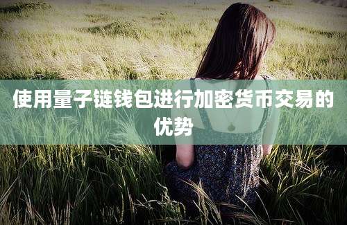 使用量子链钱包进行加密货币交易的优势