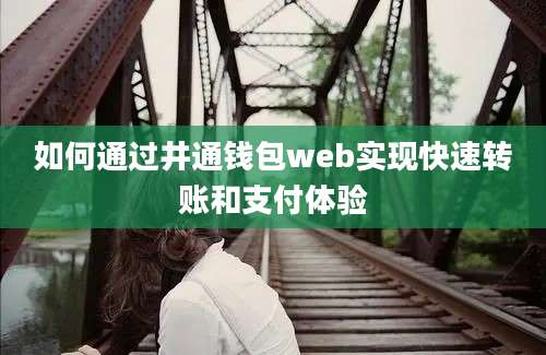 如何通过井通钱包web实现快速转账和支付体验