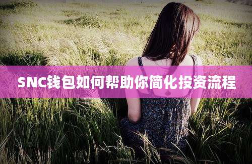 SNC钱包如何帮助你简化投资流程