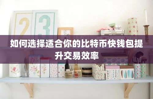 如何选择适合你的比特币快钱包提升交易效率