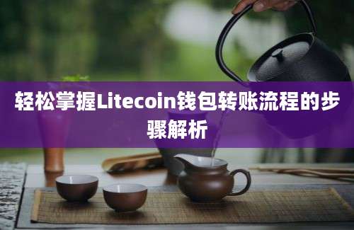 轻松掌握Litecoin钱包转账流程的步骤解析