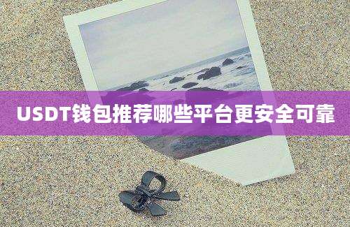 USDT钱包推荐哪些平台更安全可靠