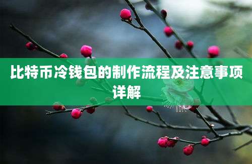 比特币冷钱包的制作流程及注意事项详解